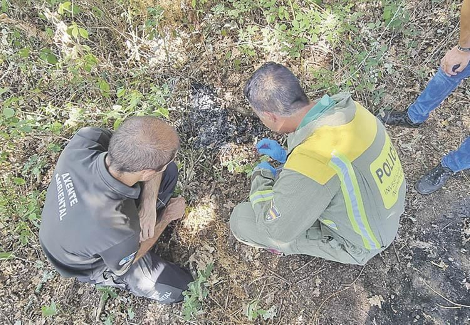 Técnicos de la UIFO investigan en Amoeiro.