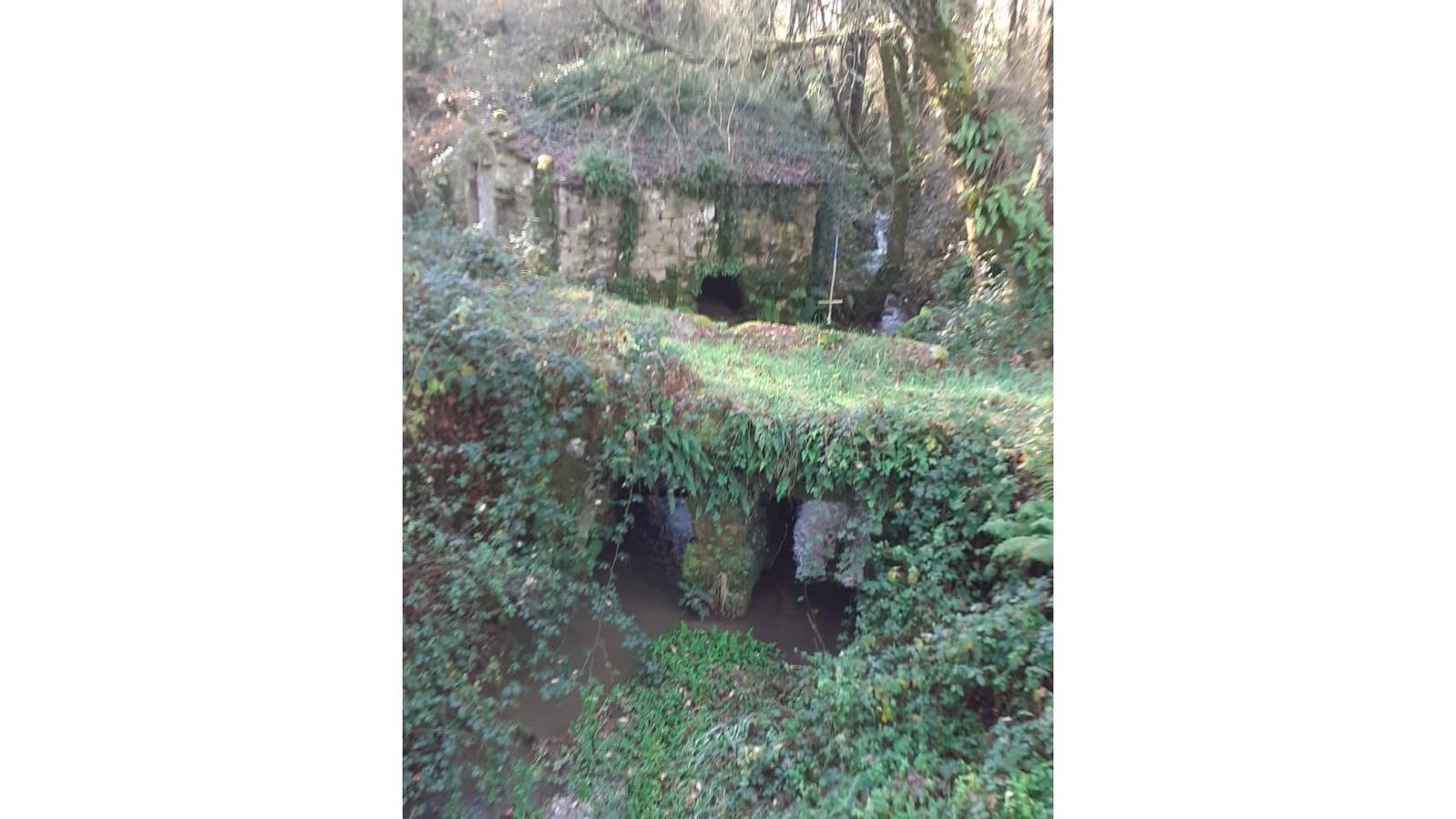 Dozón. Molino de Riazó web