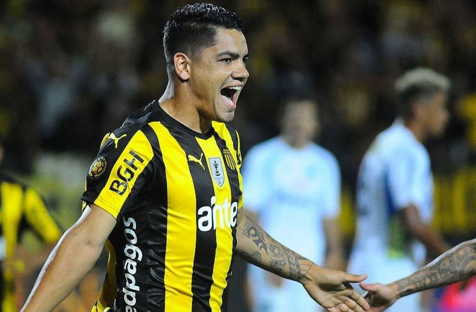 Gabriel 'Toro' Fernández