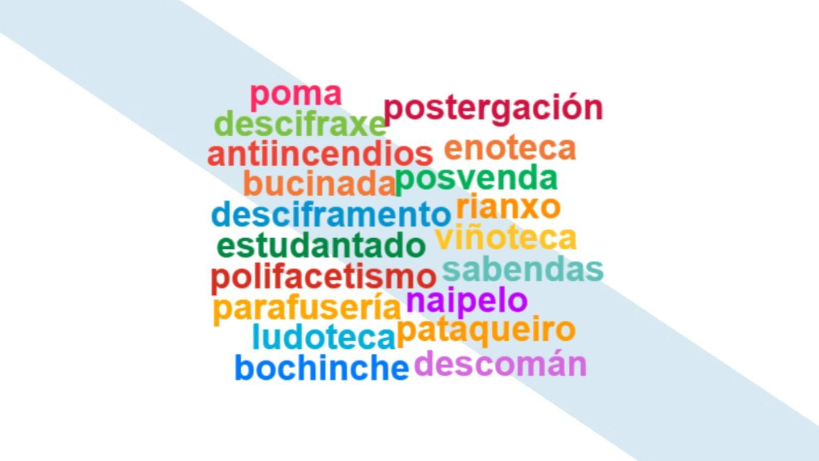 Algunhas das palabras elixidas pola RAG.