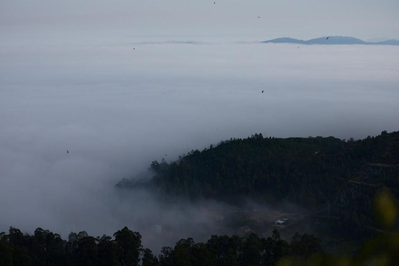 Galería | Un manto de niebla despierta a la Ría de Vigo tras la ola de calor