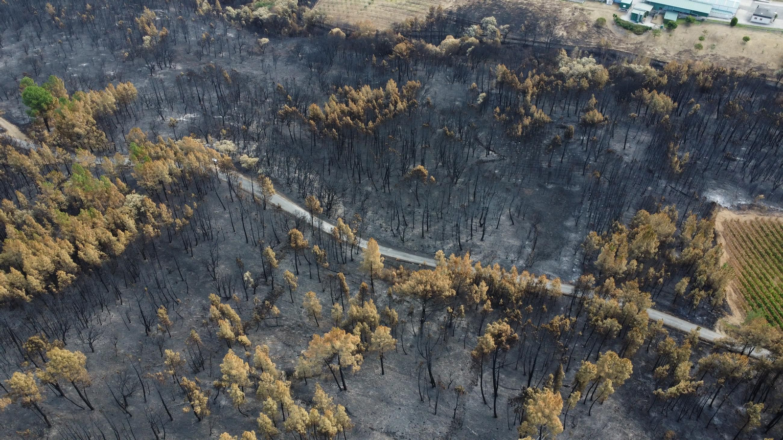 entre larouco y a caseta 3.JPG