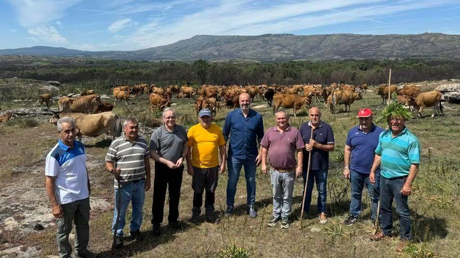 Comuneros y cargos institucionales, durante la visita al monte comunal de Lucenza (Cualedro).