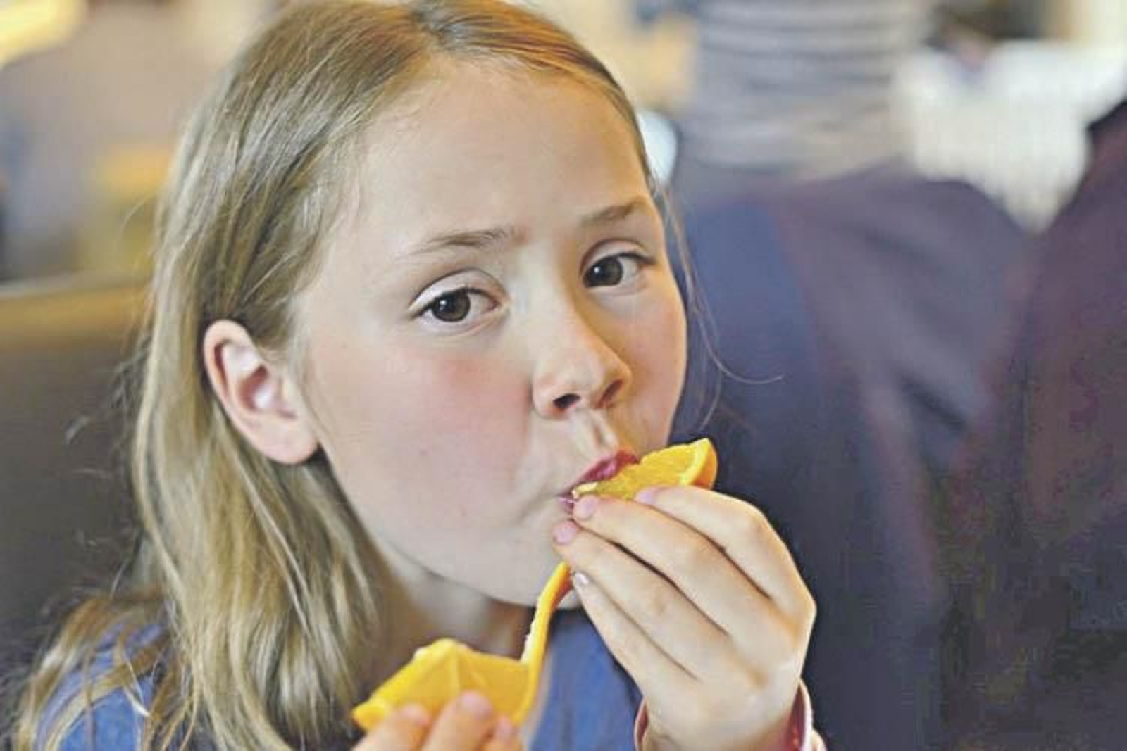 Una alimentación insuficiente o monótona favorece un consumo habitual muy bajo de hierro.