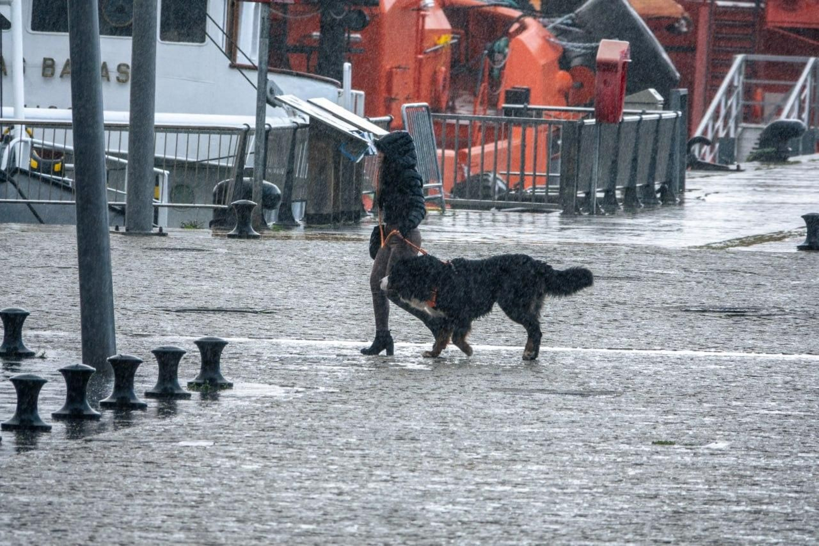 Una mujer pasea con su perro bajo la lluvia en Vigo.