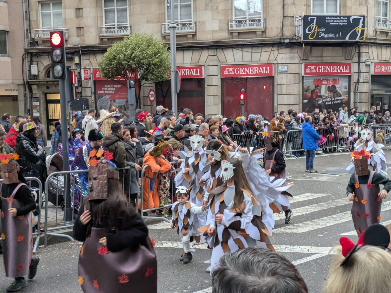 Os noviños do Sil. O Bosque.