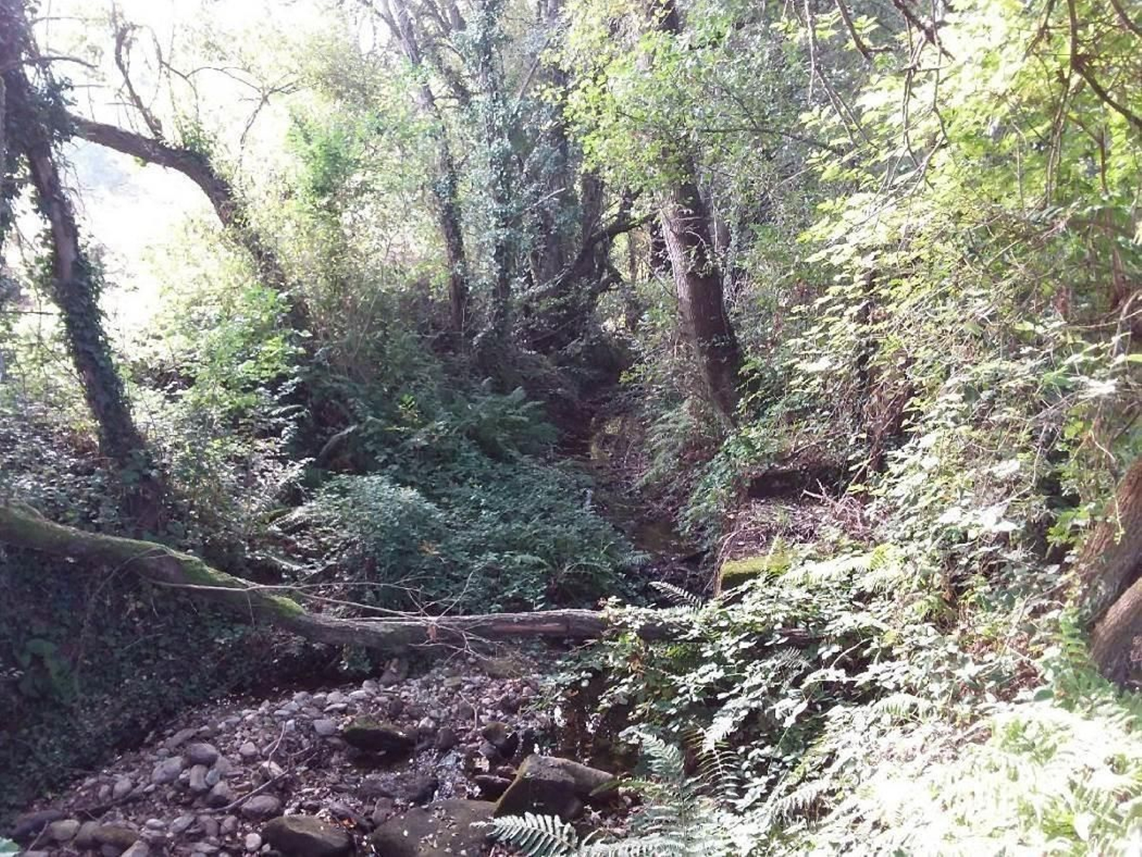La zona del Arroyo Grande, en Ganade, donde se está realizando ahora trabajos de limpieza. (Cedida).