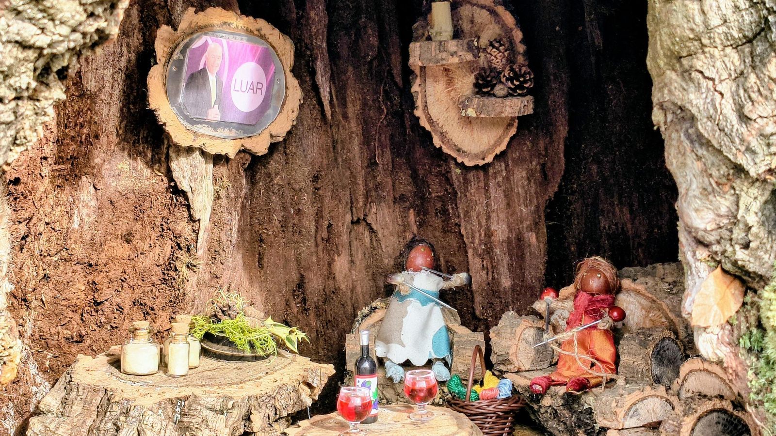 El salón de la casa-arbol