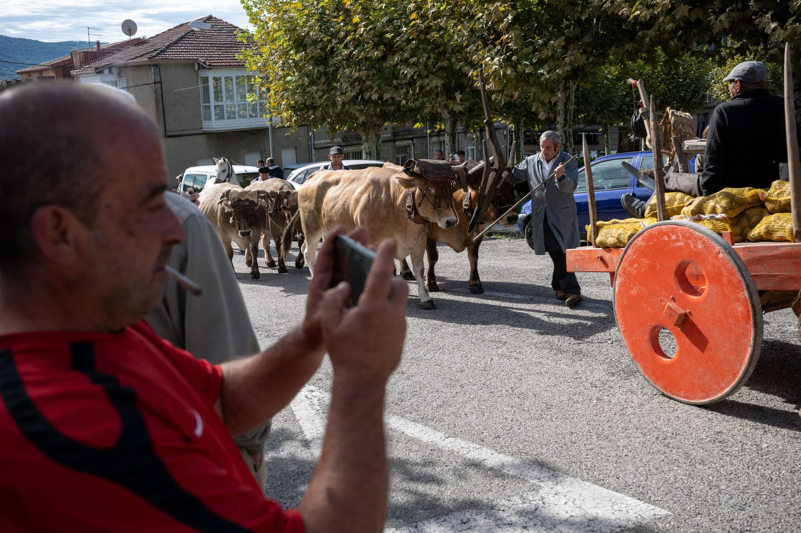 Galería | Vilar de Barrio disfruta un año más con al Festa da Pataca