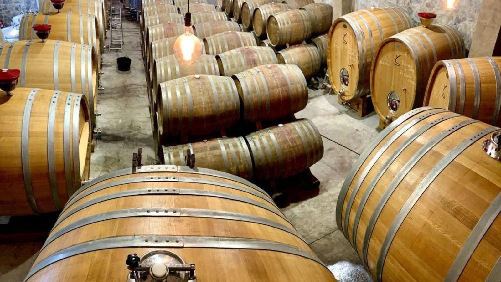 Barricas de vino. // E.P.