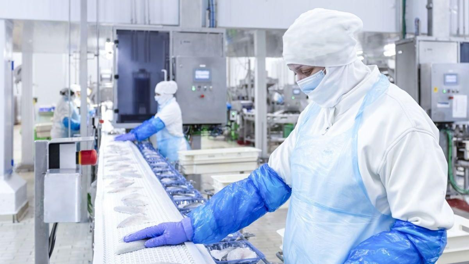 Profand facturó 930 millones de euros en el año 2023.