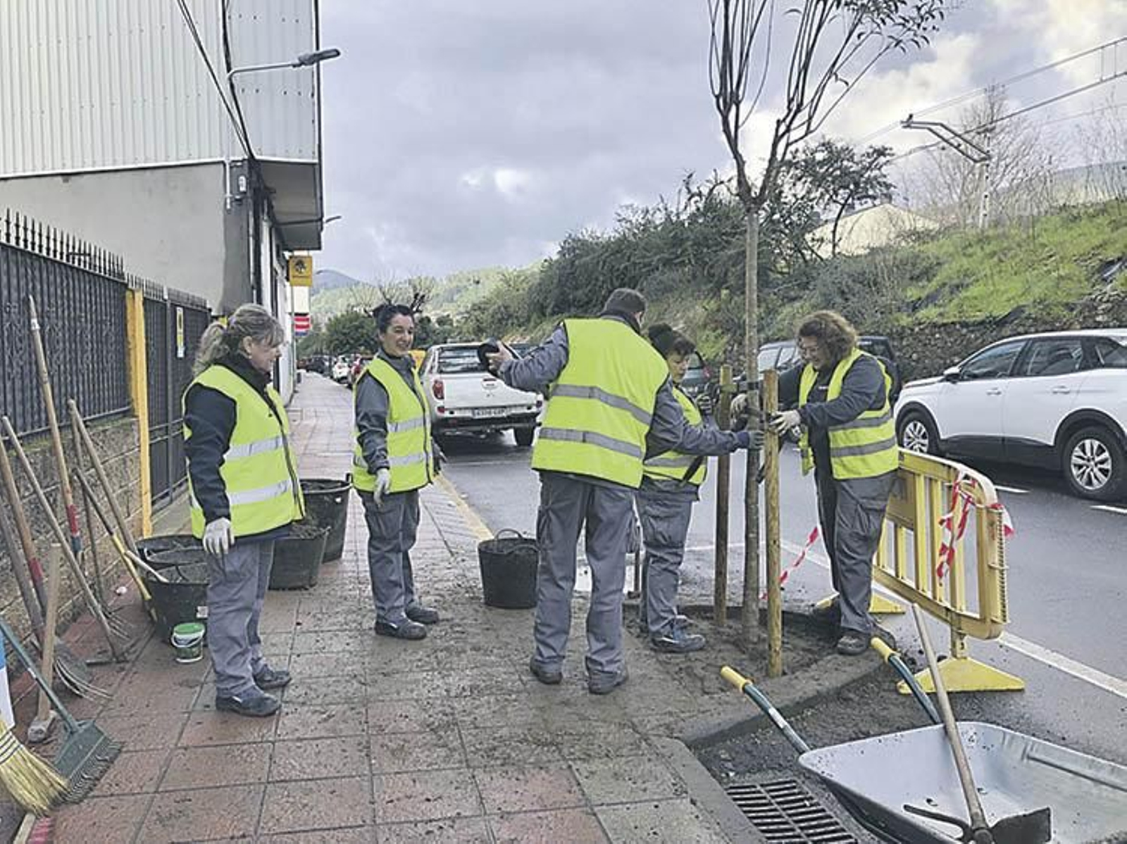 Trabajos de plantación de árboles en O Barco.
