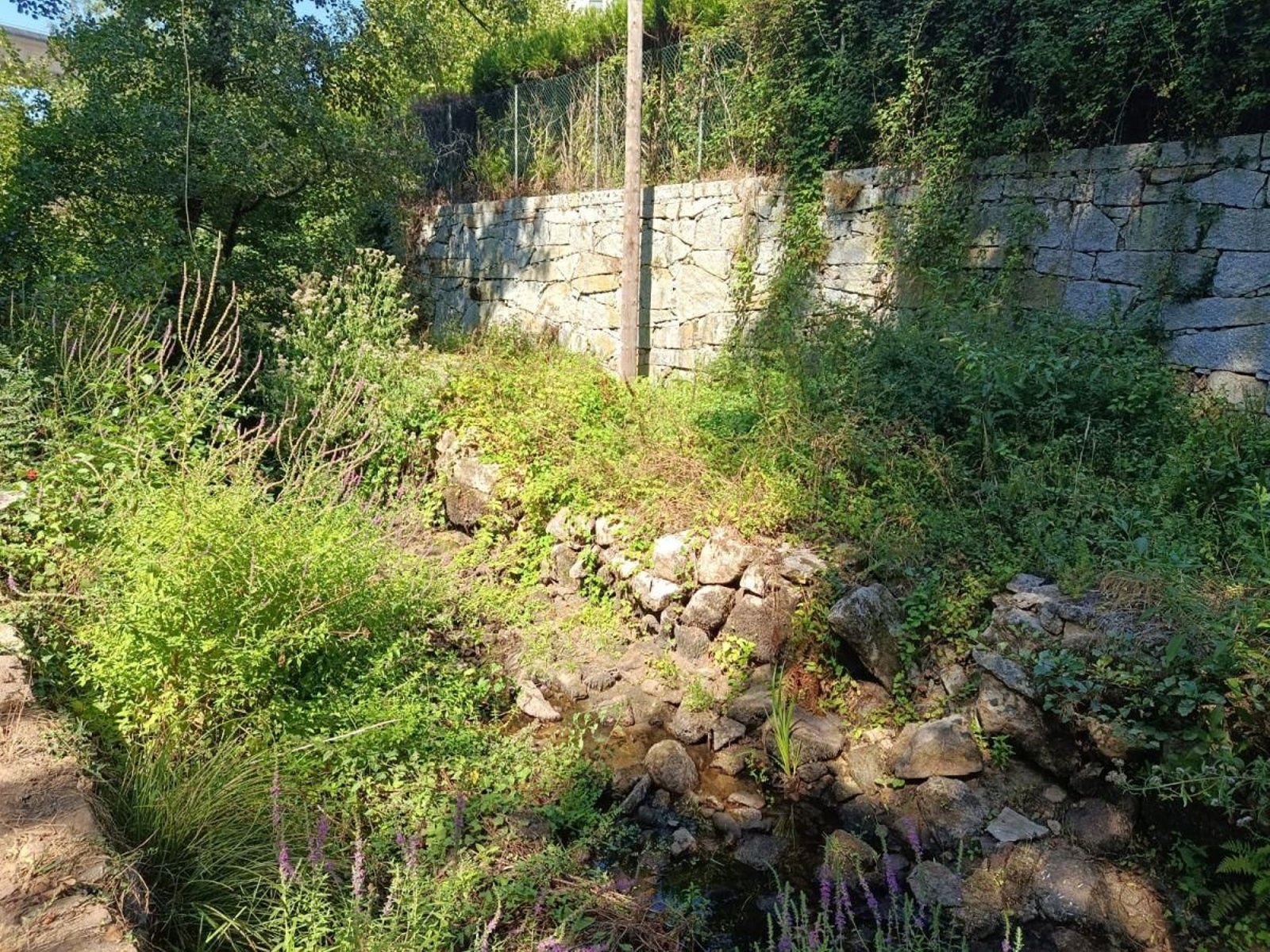 El río Barbadás casi sin agua a su curso por Os Carrís