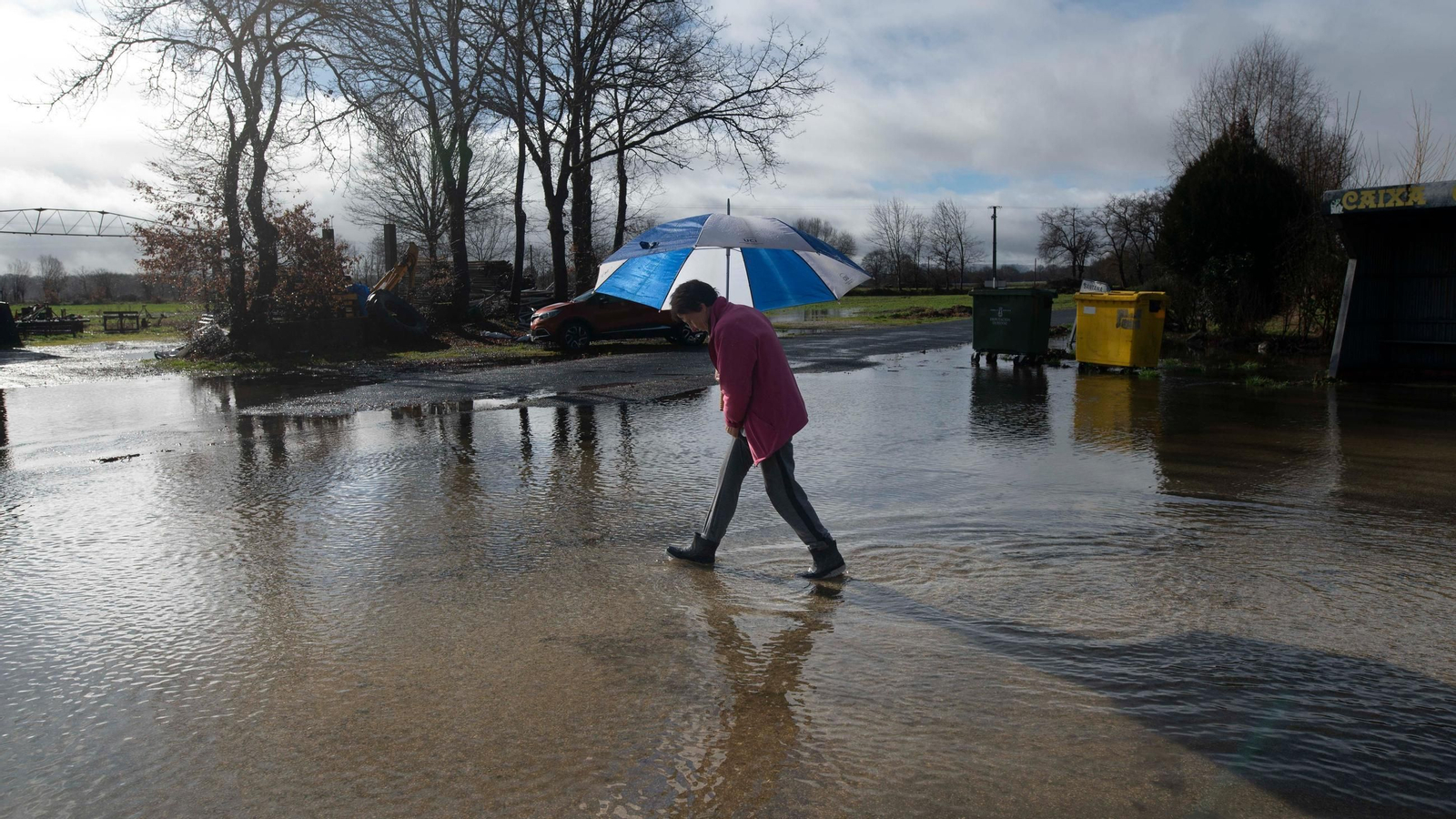 En A Limia se ha arruinando cerca del 80% de la cosecha del cereal de invierno.