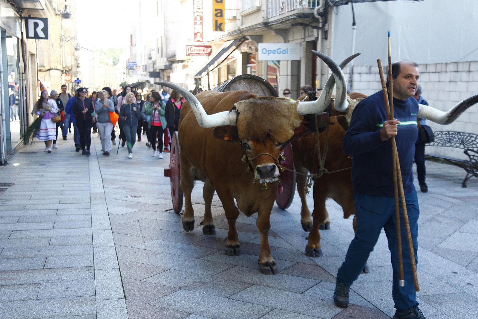 Saída andaina "Camiño Nós" (MIGUEL ÁNGEL)