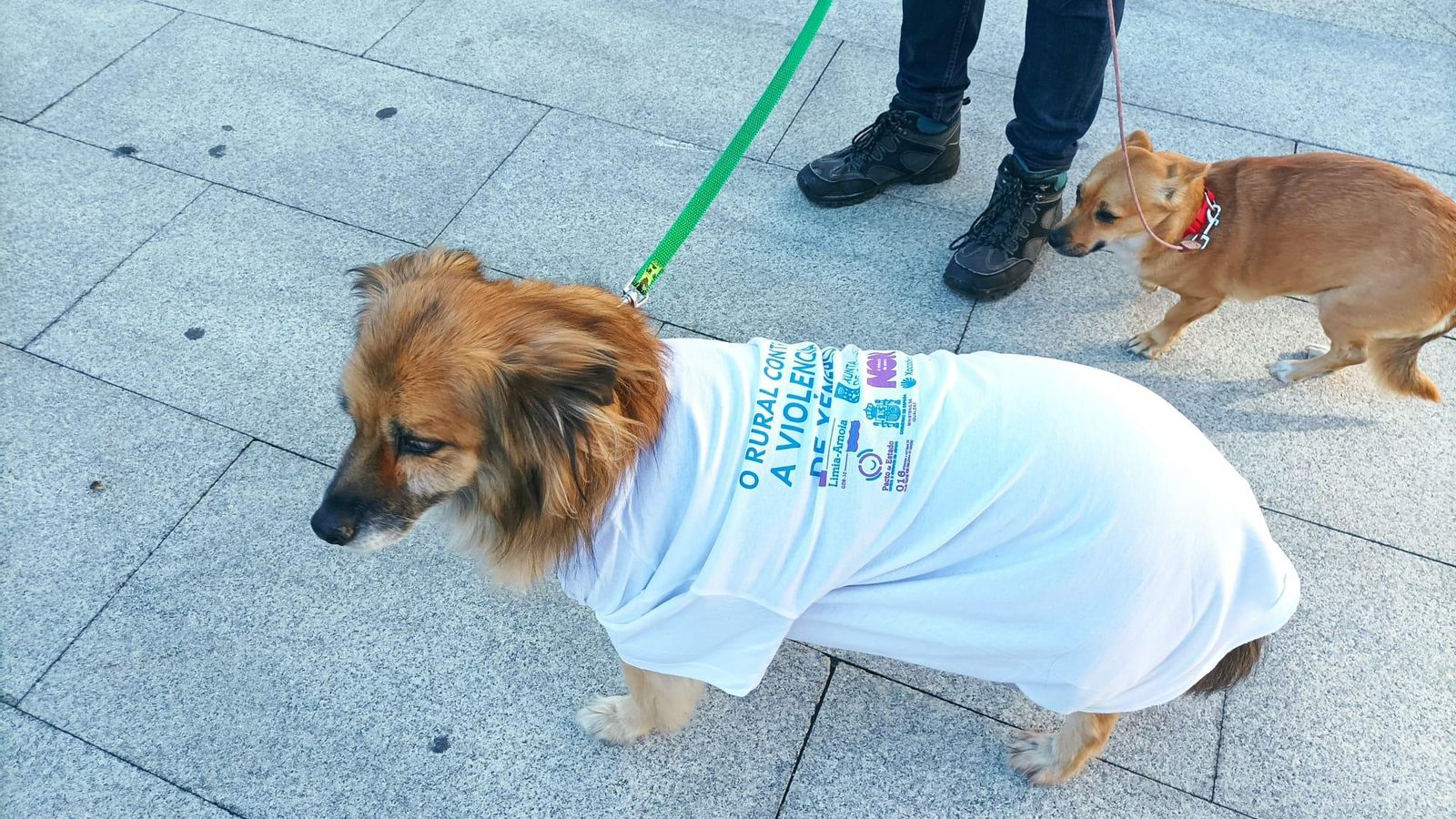 WhatsApp Image 2021-11-13 at 11.25.47