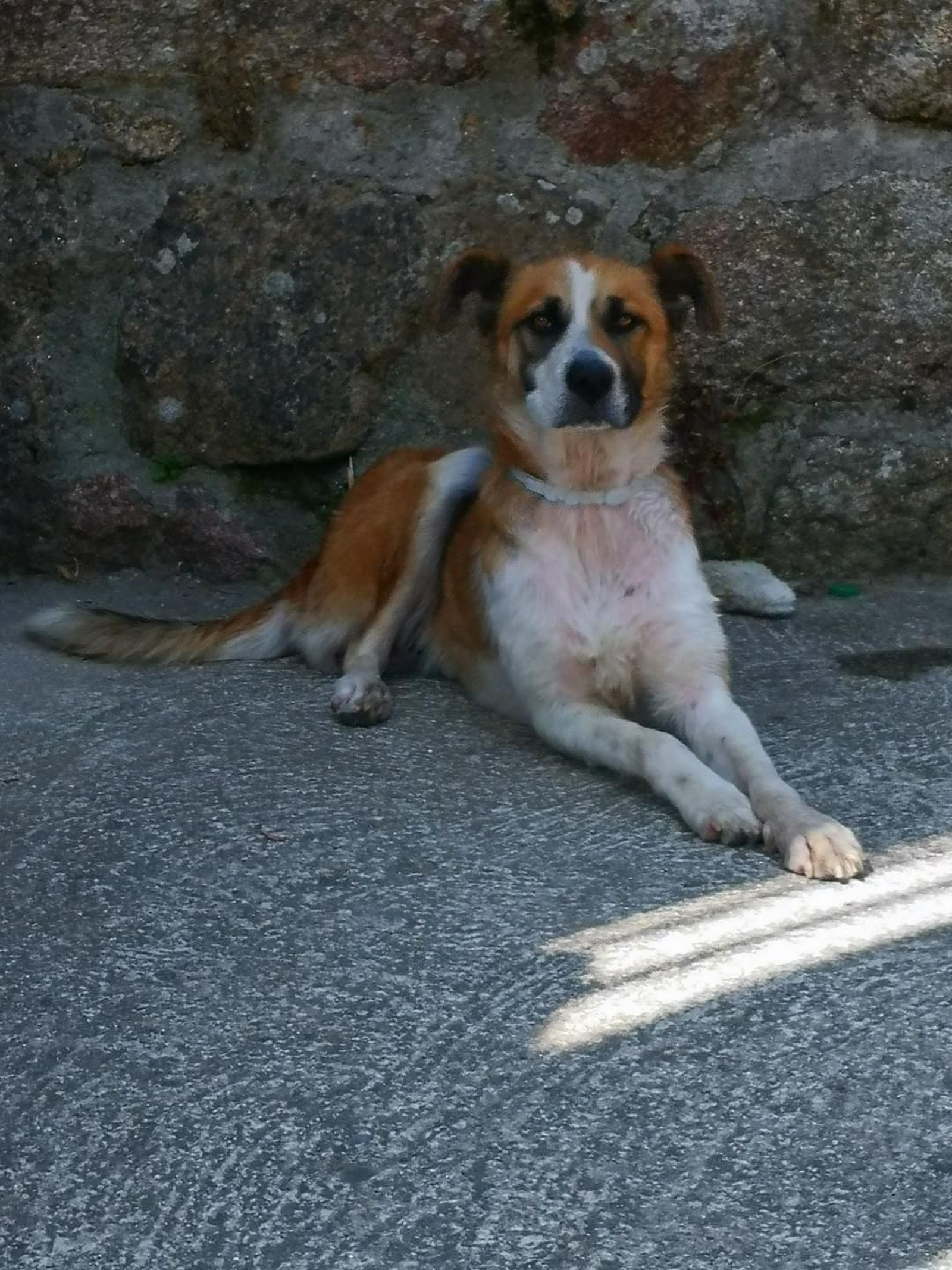 Pepa