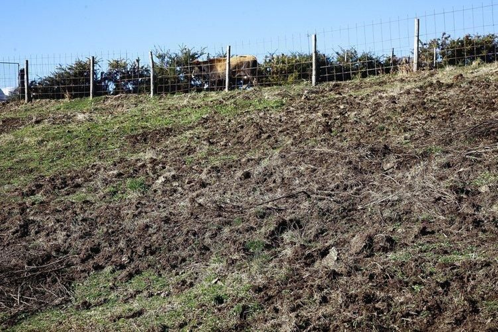 Daños causados el pasado invierno en Arnuide.
