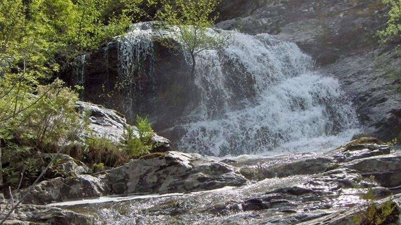 uploaded_riogato2_result