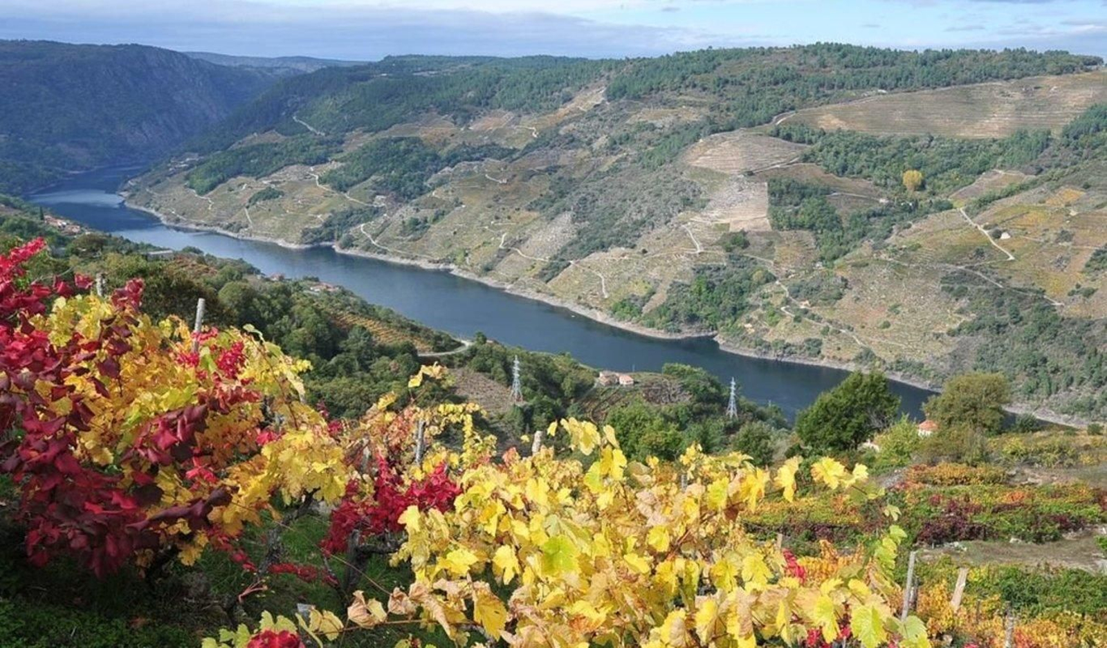 Escenarios para morirse en la Ribeira Sacra. Viñedos de otoño con el Sil de fondo. (JOSÉ PAZ)