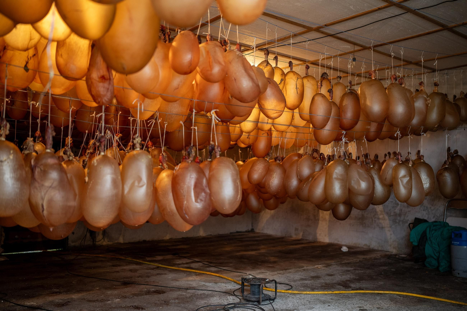 Galería | Las vejigas hechas para las pantallas del entroido rural