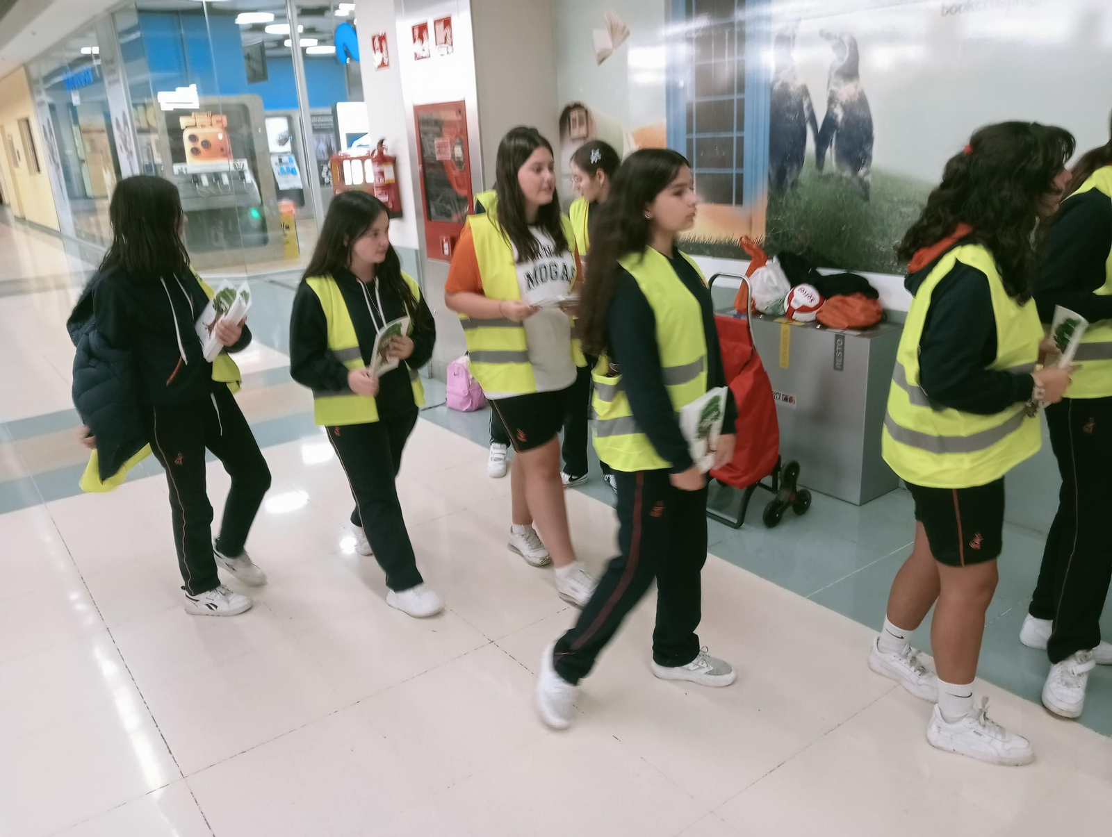 Los Ecovigilantes fomentan los buenos hábitos