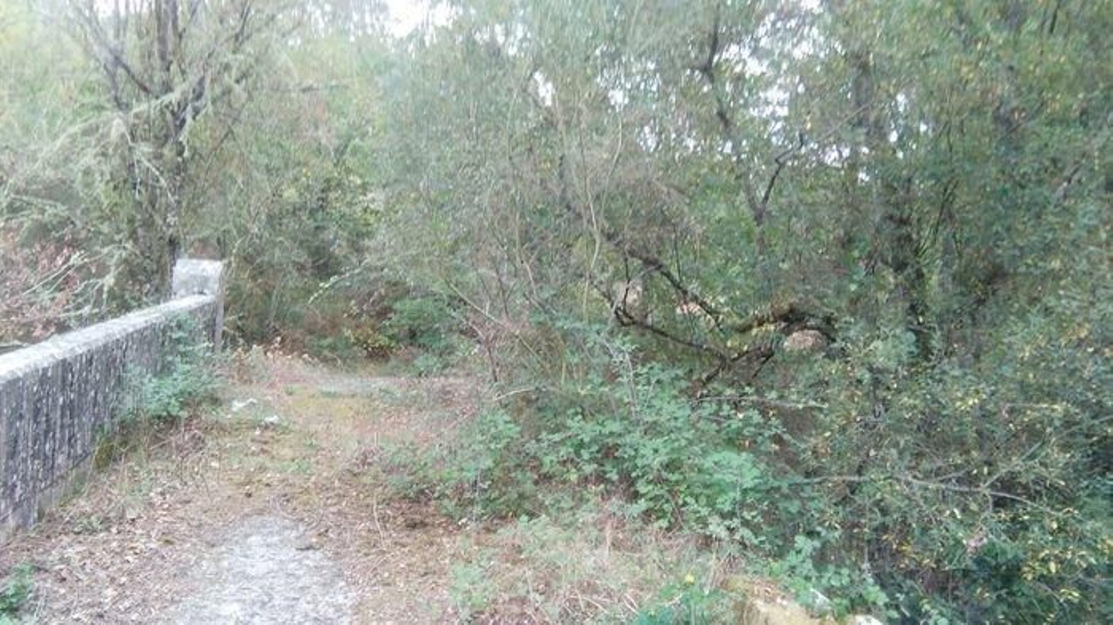 Imagen del puente romano Codesal.