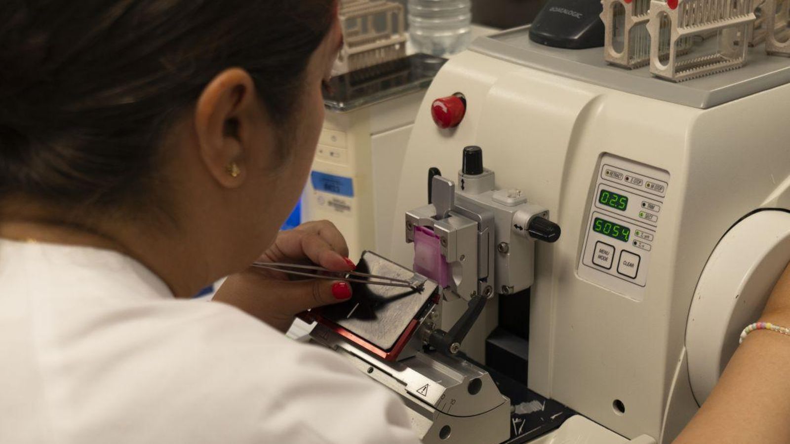 Los bloques de parafina se cortan para crear las muestras.