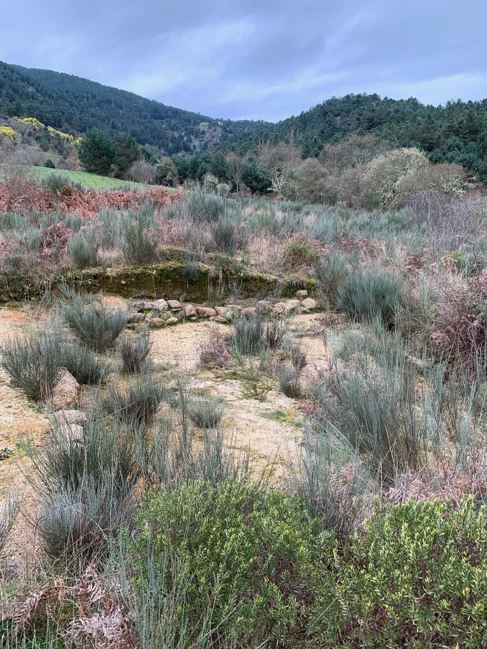 Imagen actual Bouzadoiro verin