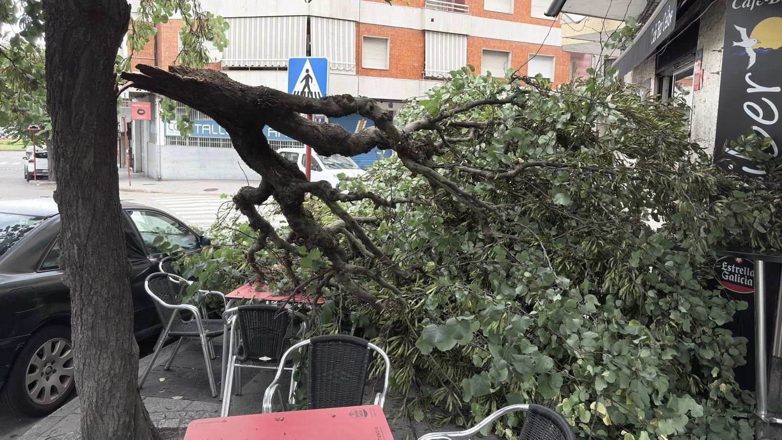 Así quedó la terraza tras la caída.