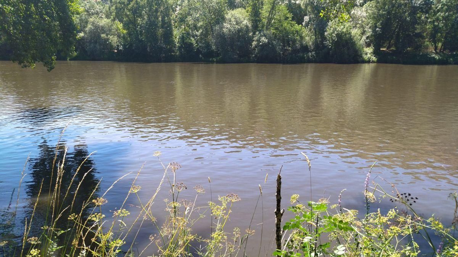El agua enturbiada del río Sil a su paso por O Barco de Valdeorras