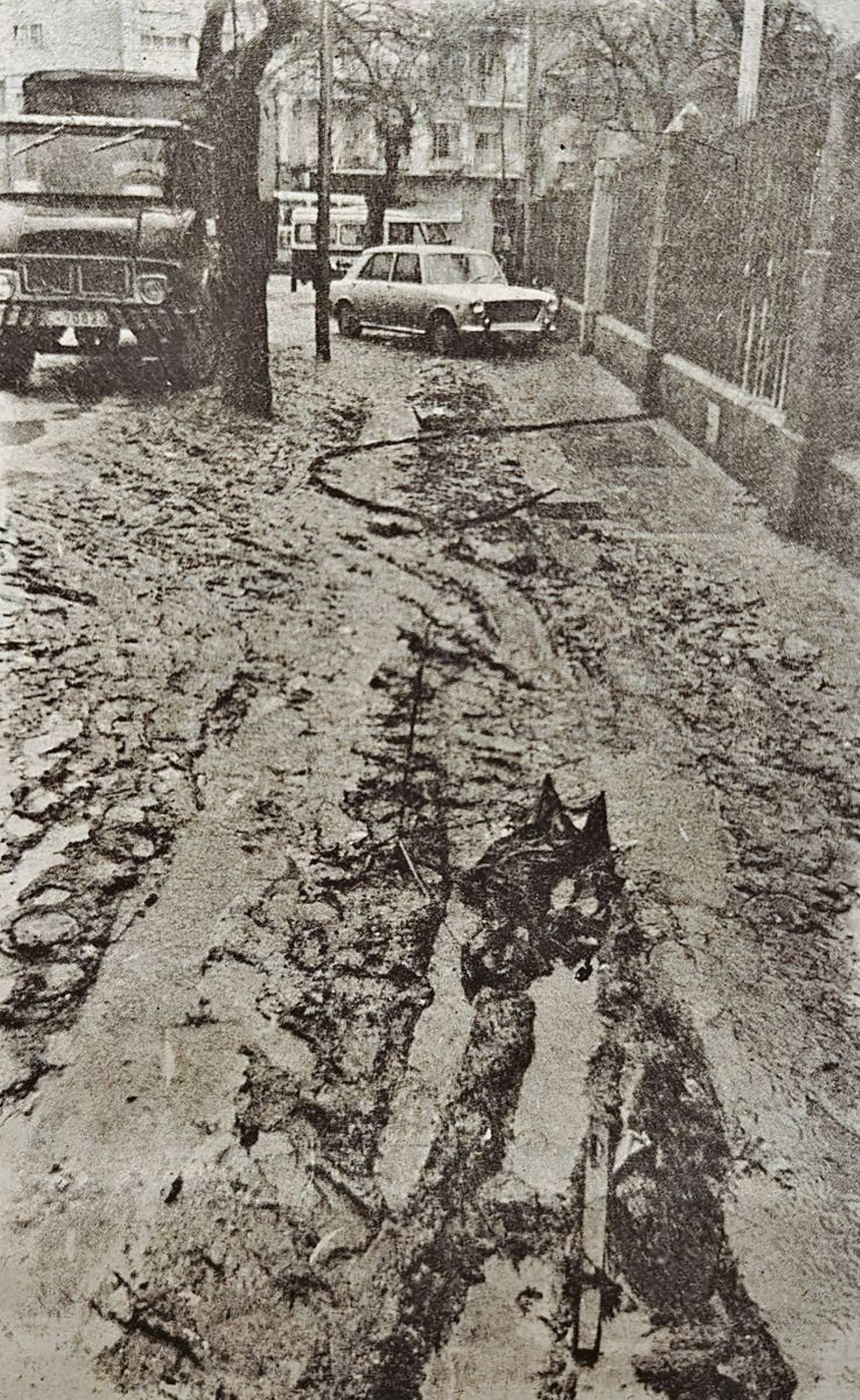 Calle Norte del Posío.