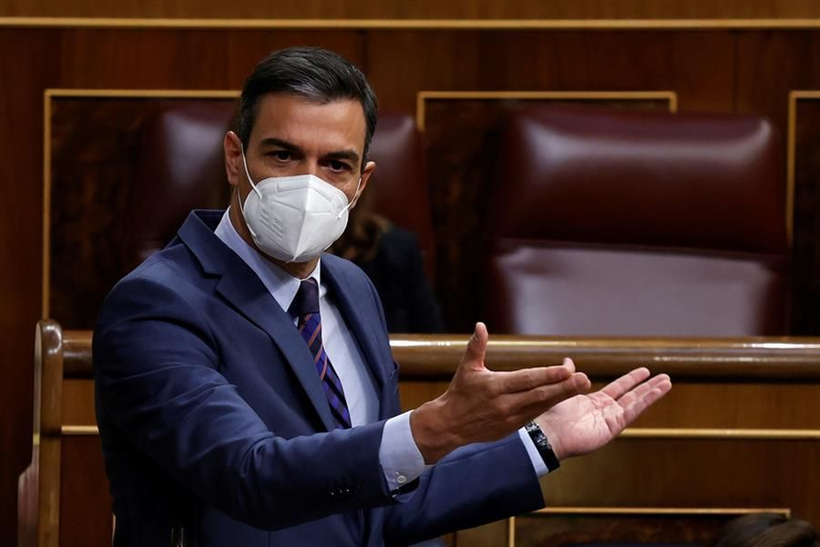 Pedro Sánchez, en el Congreso (EFE).