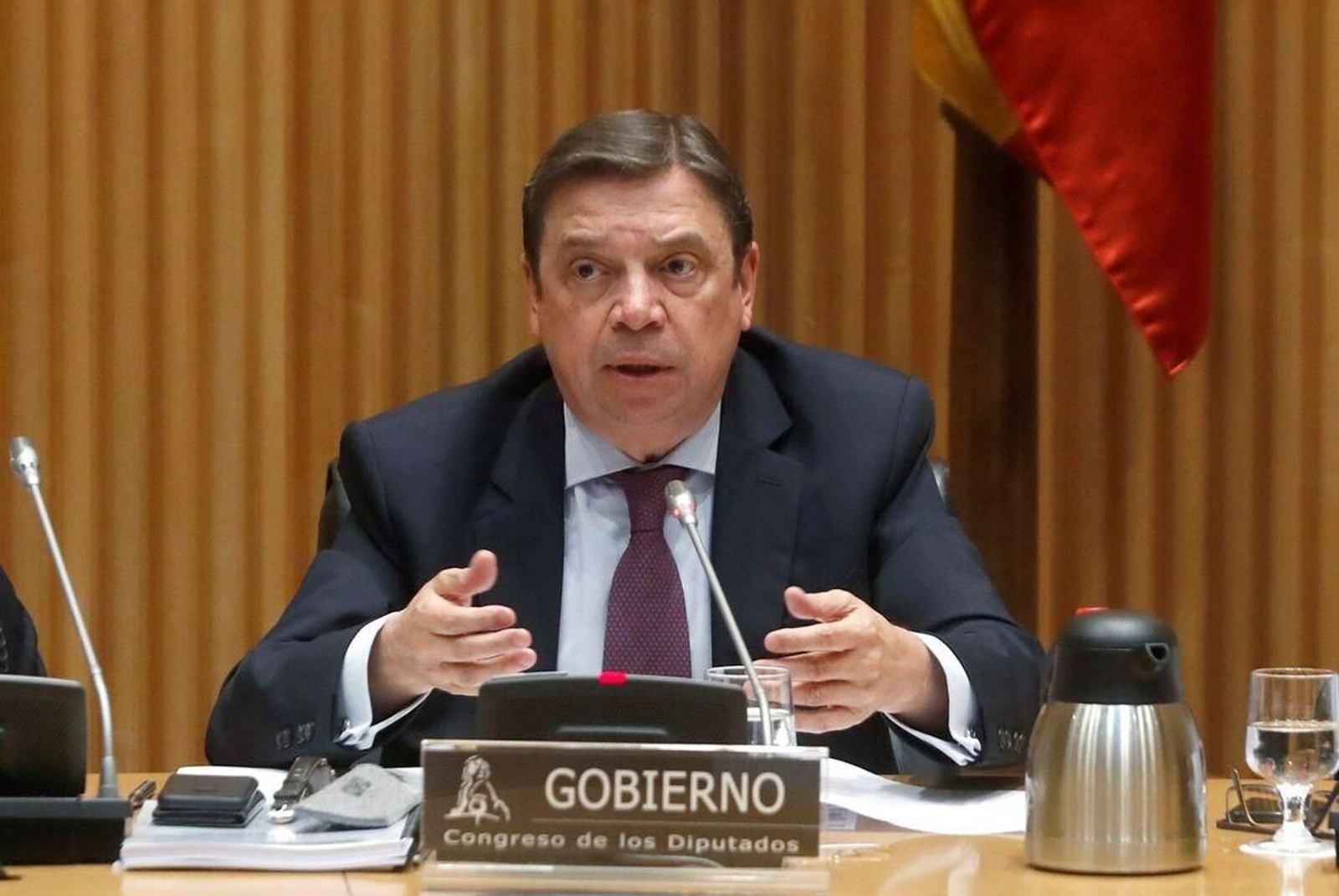 El ministro Luis Planas, durante una comparecencia en el Congreso.