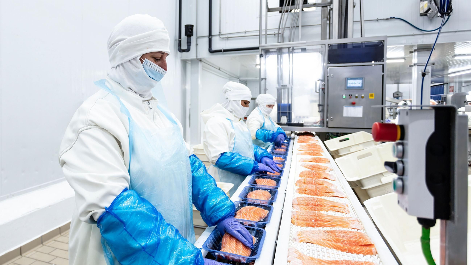 Profand incorporó el año pasado a 230 nuevos profesionales, elevando su plantilla a 5.800 personas, 3.000 son hombres y 2.800 mujeres.