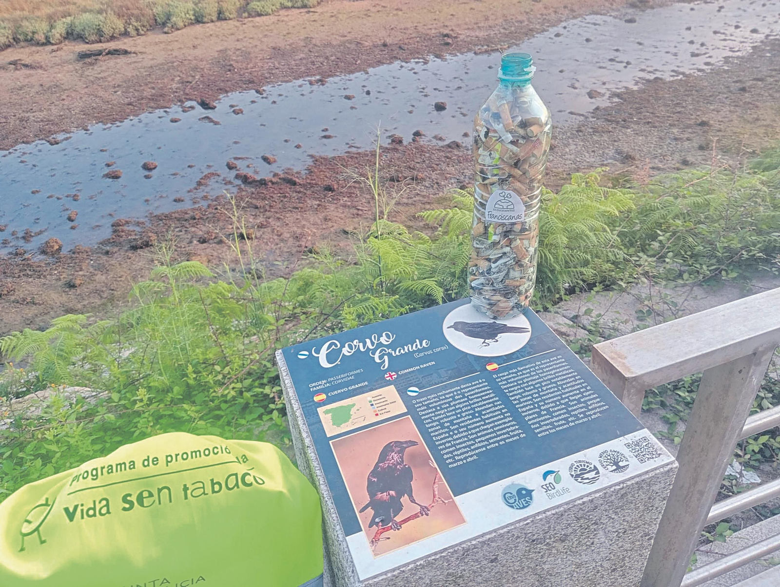 Recogida de colillas de Ecovigilantes