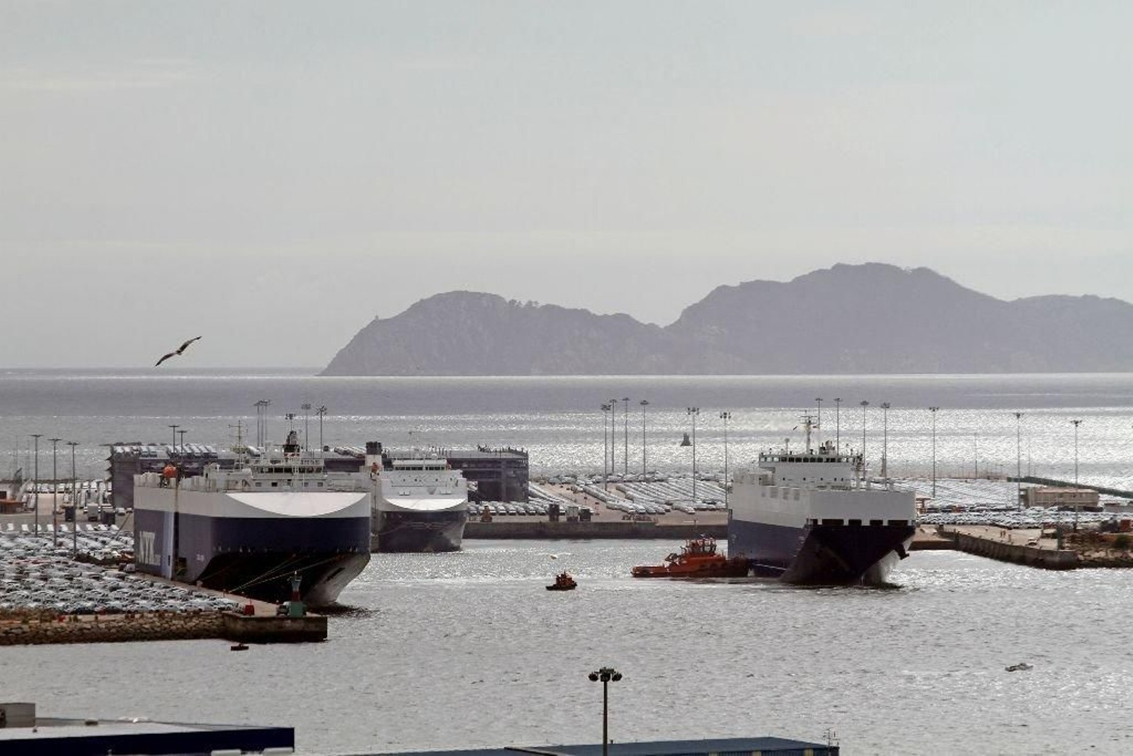 Imagen de la terminal Ro-Ro del puerto, ayer, a pleno rendimiento.