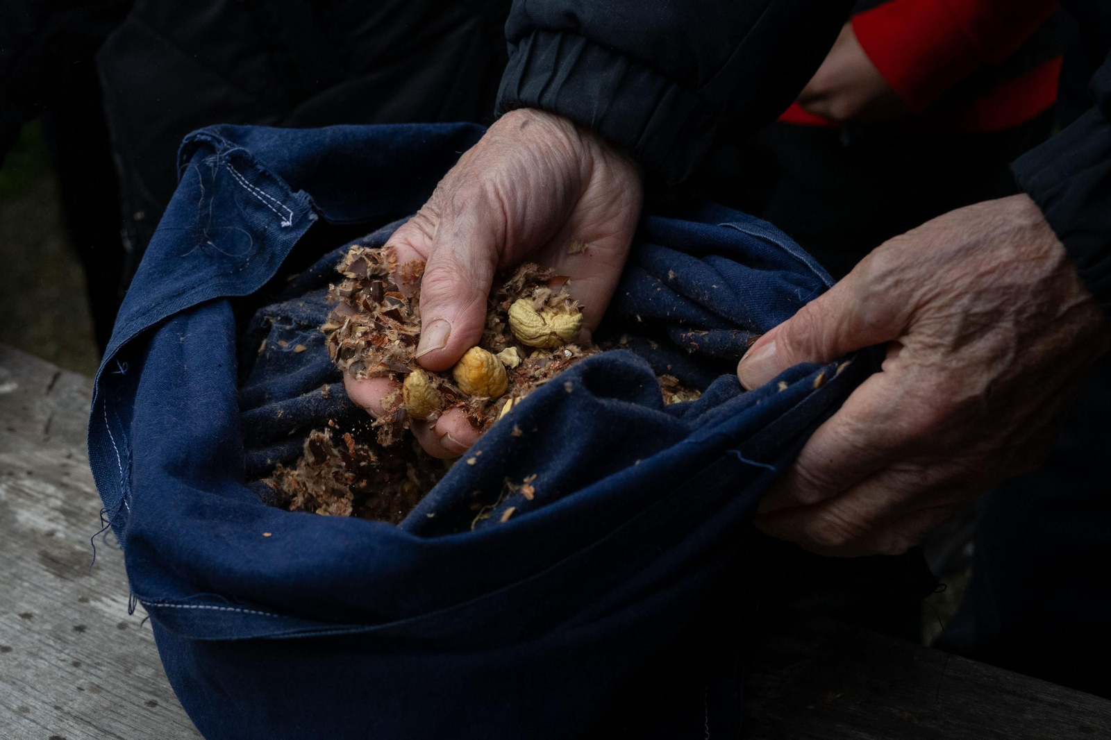 Galería | Festa da Pisa da Castaña