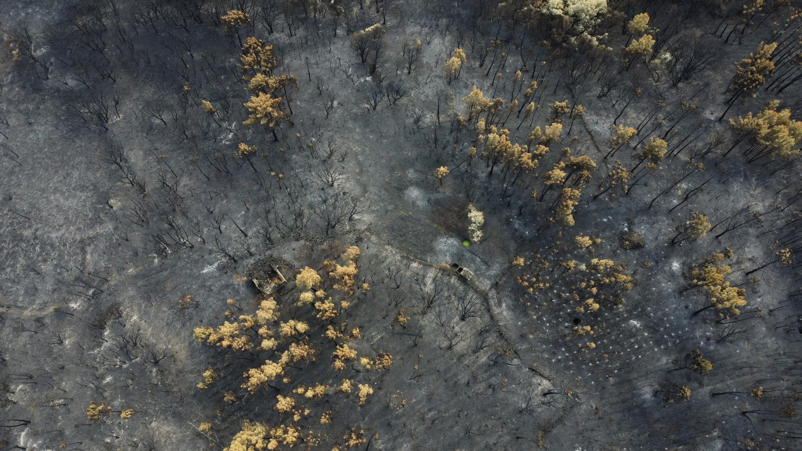 entre larouco y a caseta 4.JPG