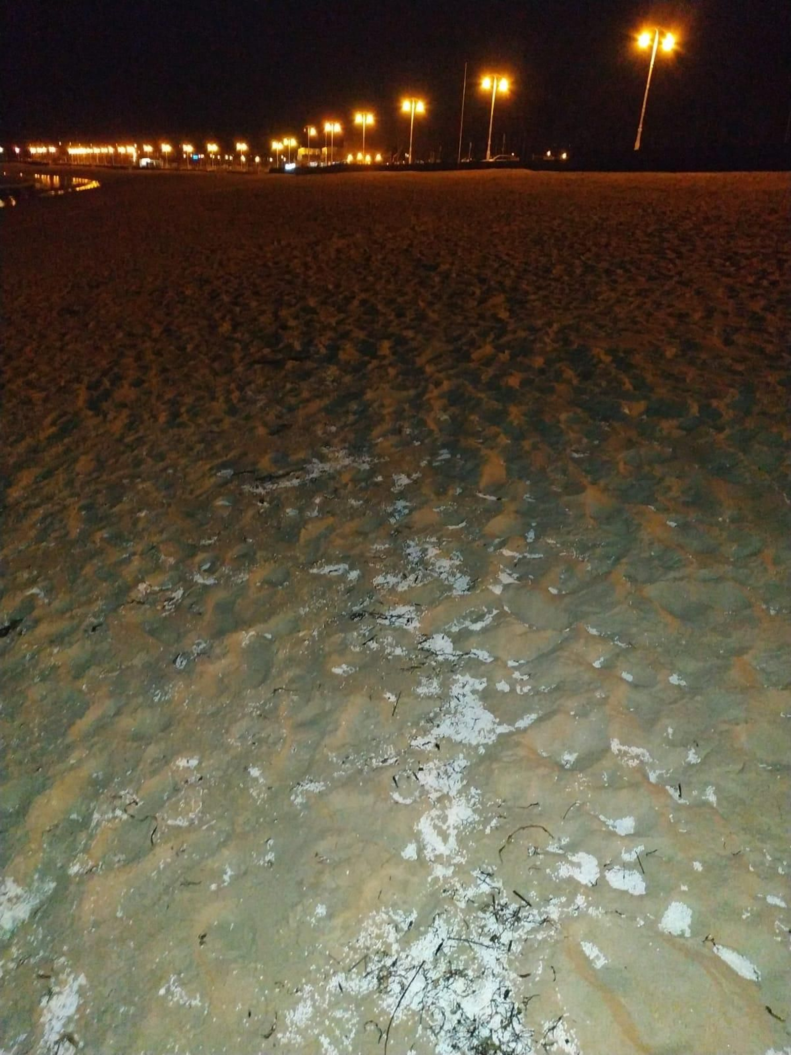 WhatsApp Image 2020-02-21 at 11.56.23