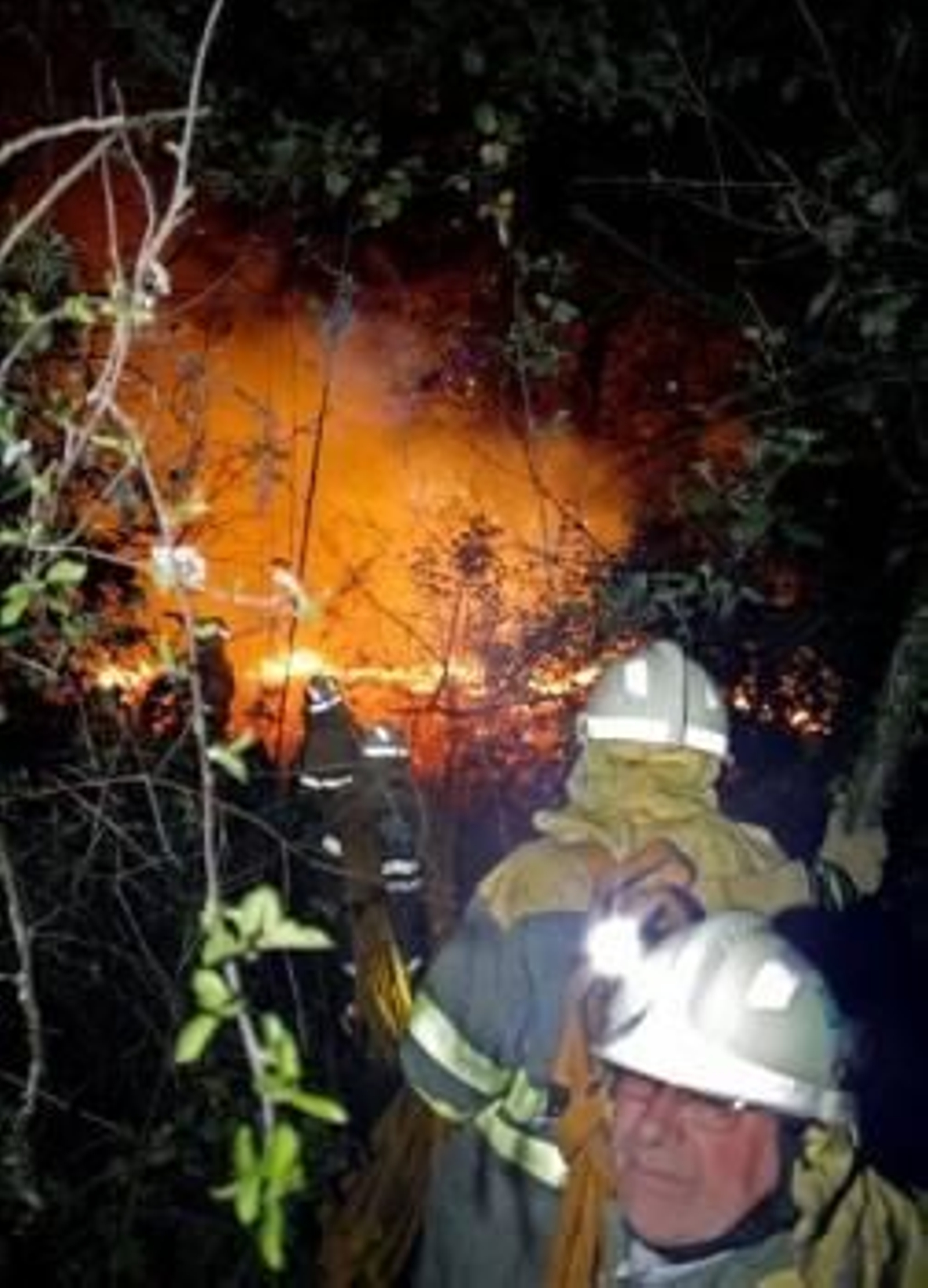 Varios miembros de las brigadas durante la extinción del incendio. (Foto: CABALAR)