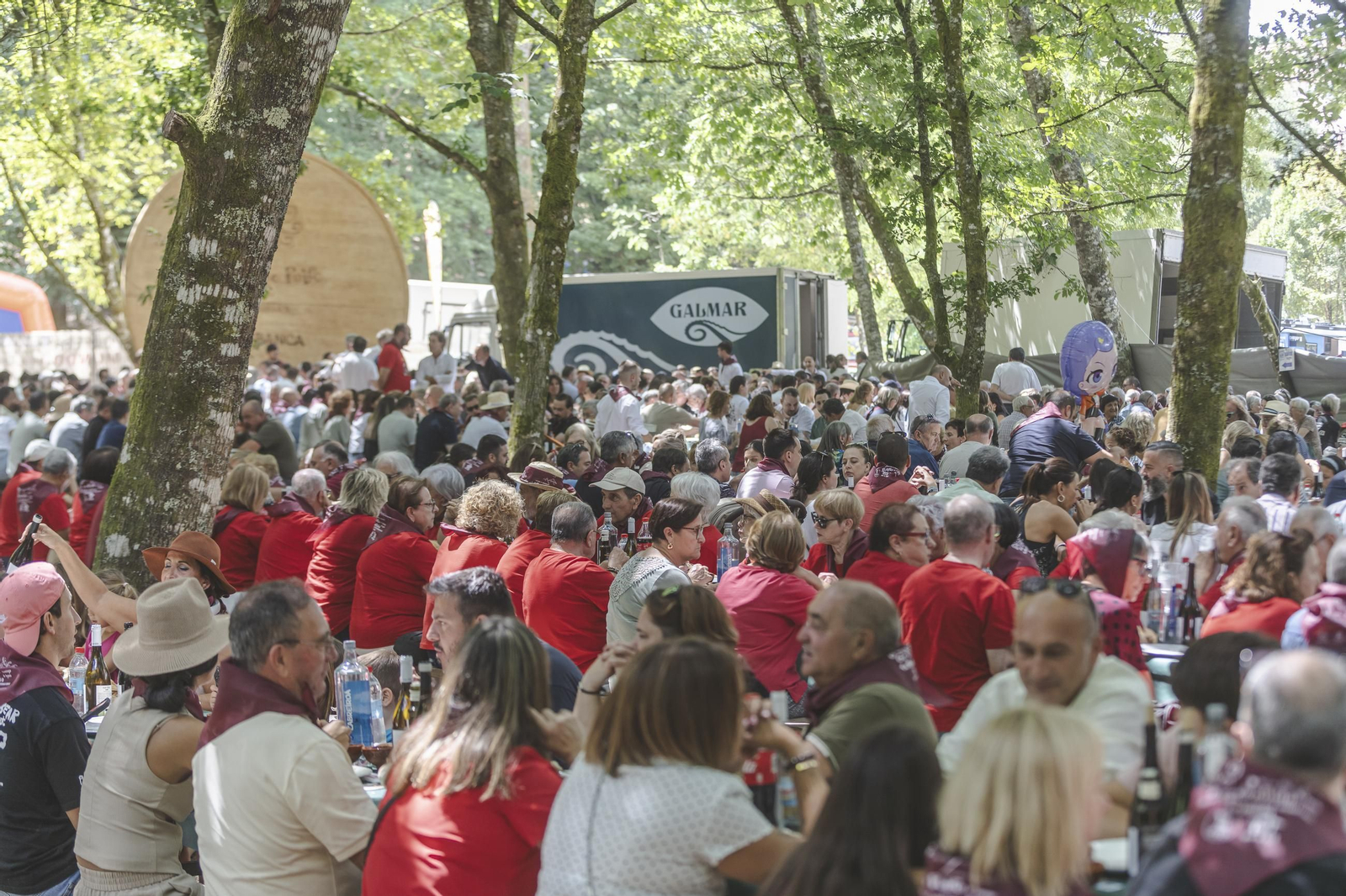 Galería | O Carballiño vuelve a disfrutar un año más de la Festa do Pulpo