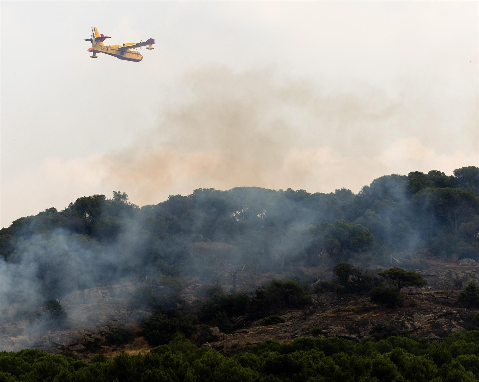 Galería | Madrid vive el incendio forestal más grande de su historia bajo un gran manto de humo