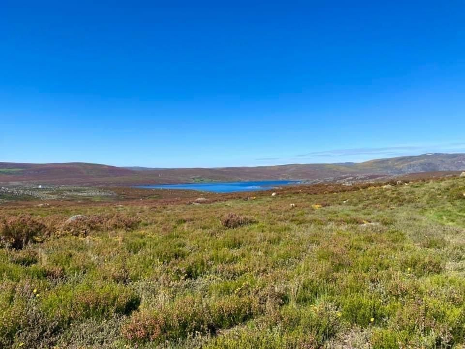 WhatsApp Image 2024-05-27 at 15.00.02 (3)