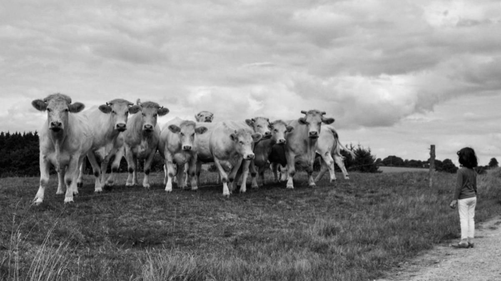 Dos de las imágenes que se expondrán en “Pequenos Instantes”.