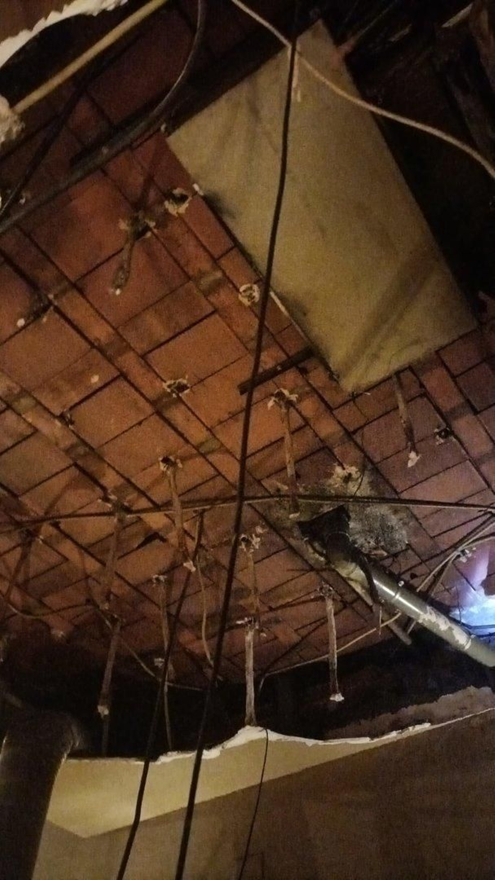 WhatsApp Image 2024-02-07 at 14.56.00 (1)