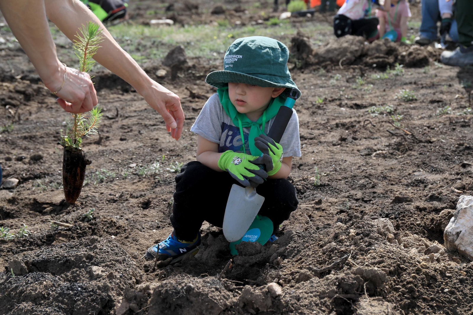 Galería | Numerosos niños reforestan A Caridade tras los incendios del pasado agosto