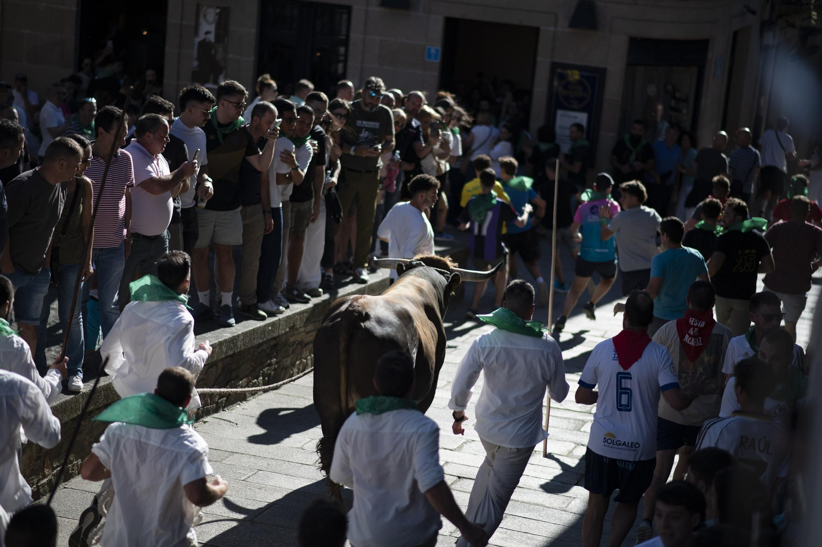 Galería | Allariz desfruta a Festa do Boi con paixón e fervor ata o último suspiro