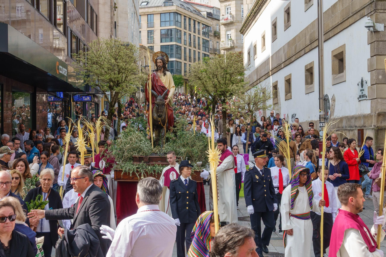 Galería | La procesión de la Borriquita 2025