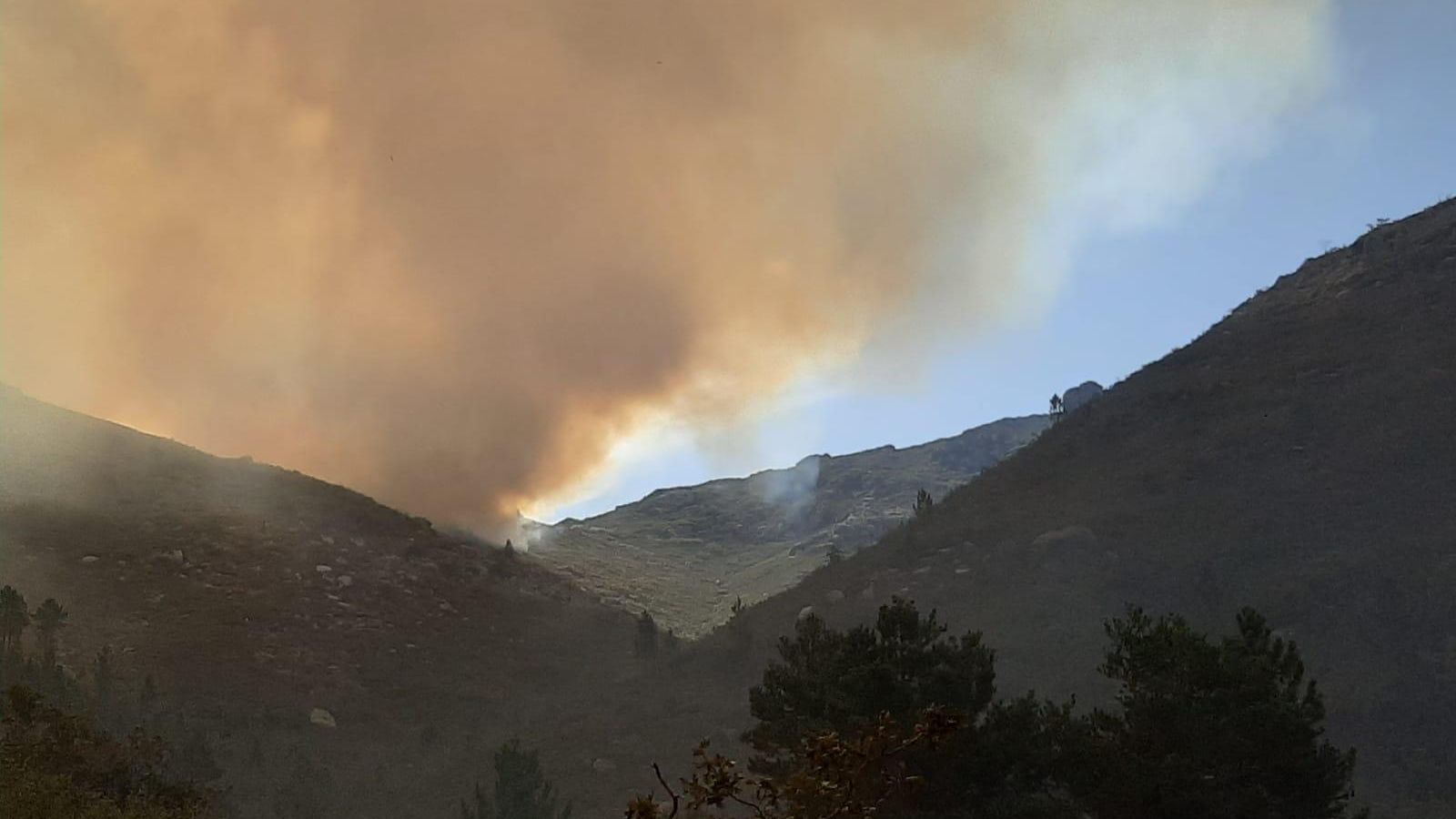 WhatsApp Image 2020-09-13 at 12.29.42